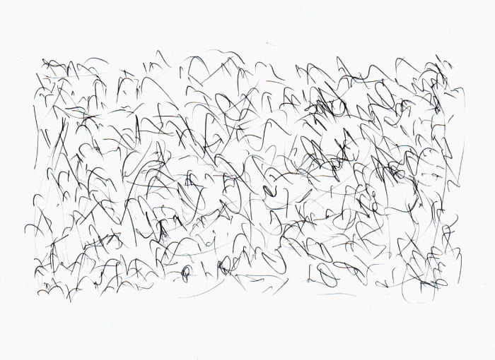 Gekritzel – Kugelschreiber auf Papier - Kugelschreiber Kunst