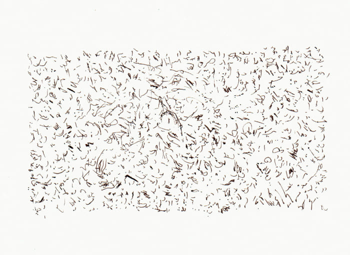 Zeichen – Sepia Fineliner auf Papier - Pitt Artist Pen Farber Castell