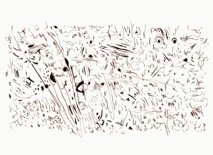Zeichnen – Sepia Fineliner auf Papier - Pitt Artist Pen Farber Castell