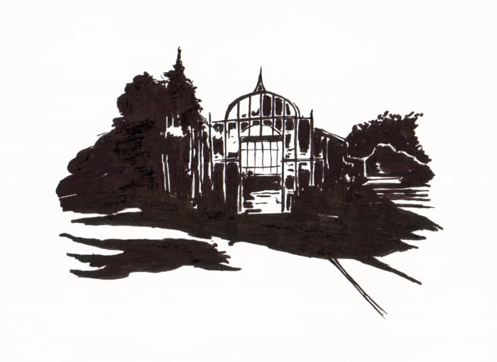 Orangerie – Schwarz Fineliner auf Papier - Pitt Artist Pen Farber Castell