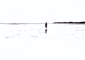 Am Meer
