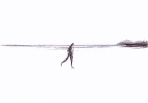Strandläufer